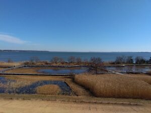 霞ヶ浦総合公園