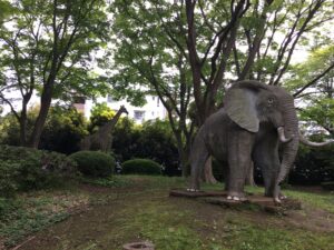 八千代市立郷土博物館