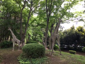 八千代市立郷土博物館