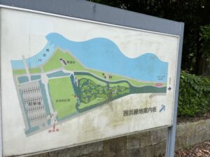 茜浜緑地