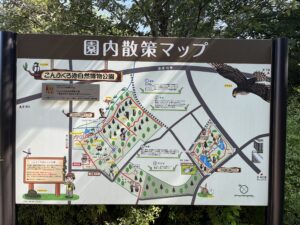 こんぶくろ池自然博物公園