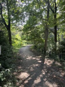 こんぶくろ池自然博物公園