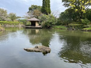 千葉県立柏の葉公園（日本庭園）