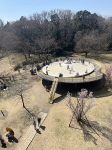 ミュージアムパーク茨城県自然博物館　トランポリン