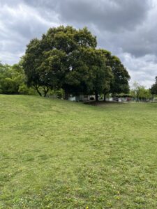 湖北台中央公園