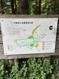 千葉県立船橋県民の森