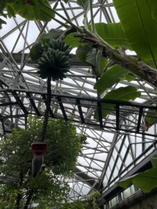 市川市観賞植物園