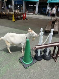 市川市動植物園