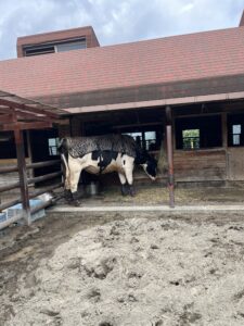 市川市動植物園