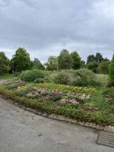 東松戸ゆいの花公園