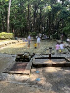 手賀の丘公園のじゃぶじゃぶ池