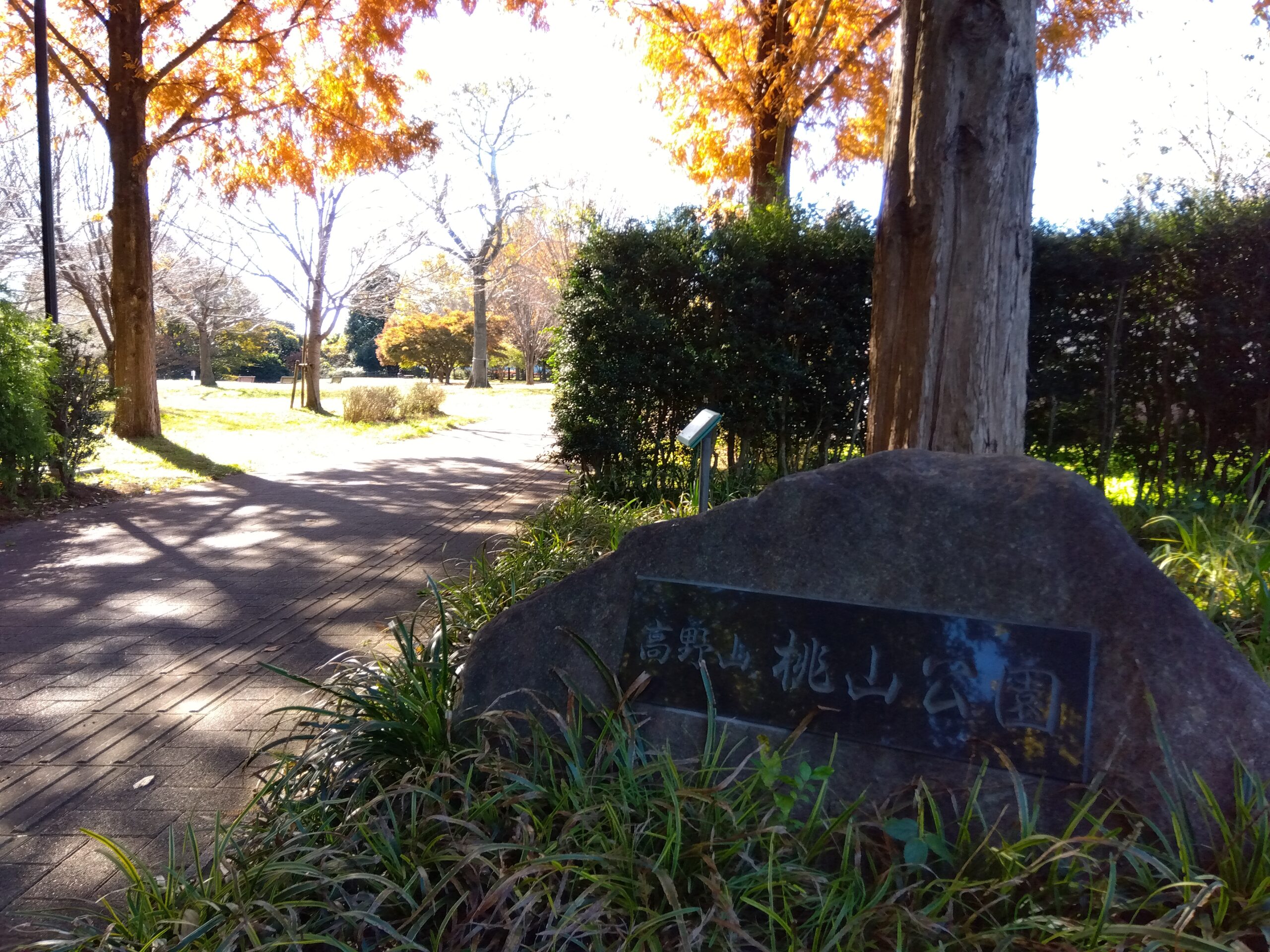 高野山桃山公園