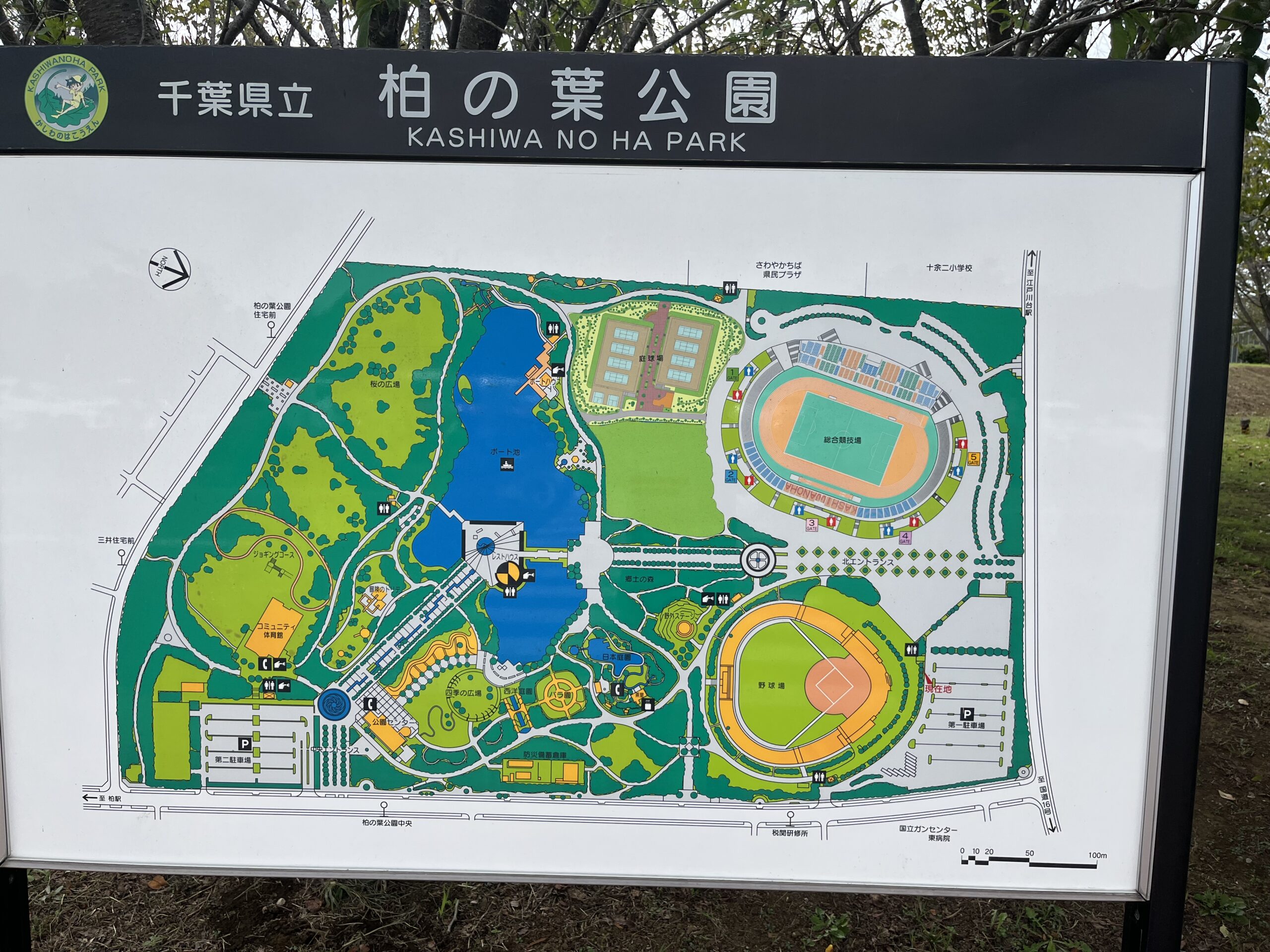 柏の葉公園マップ