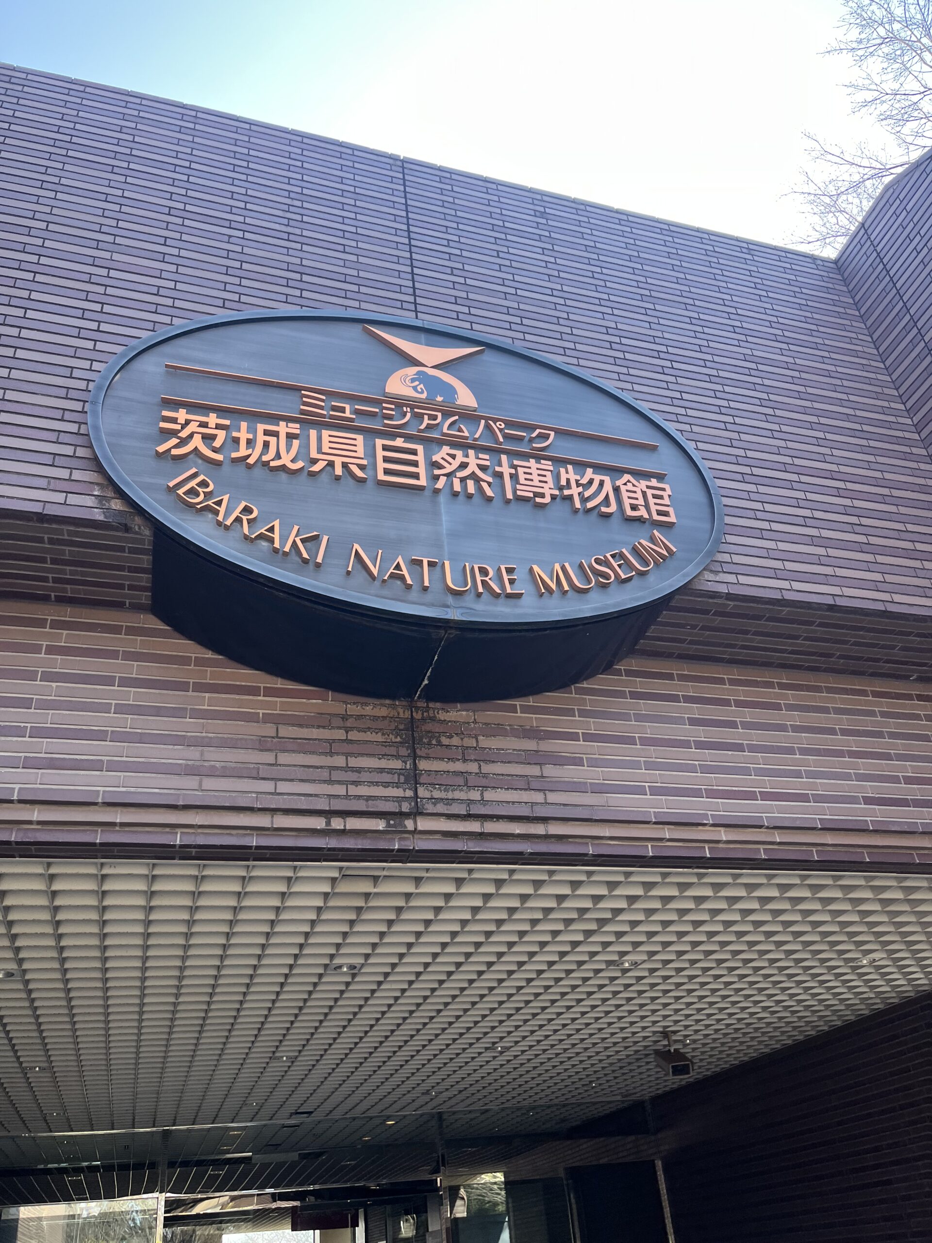 ミュージアムパーク茨城県自然博物館