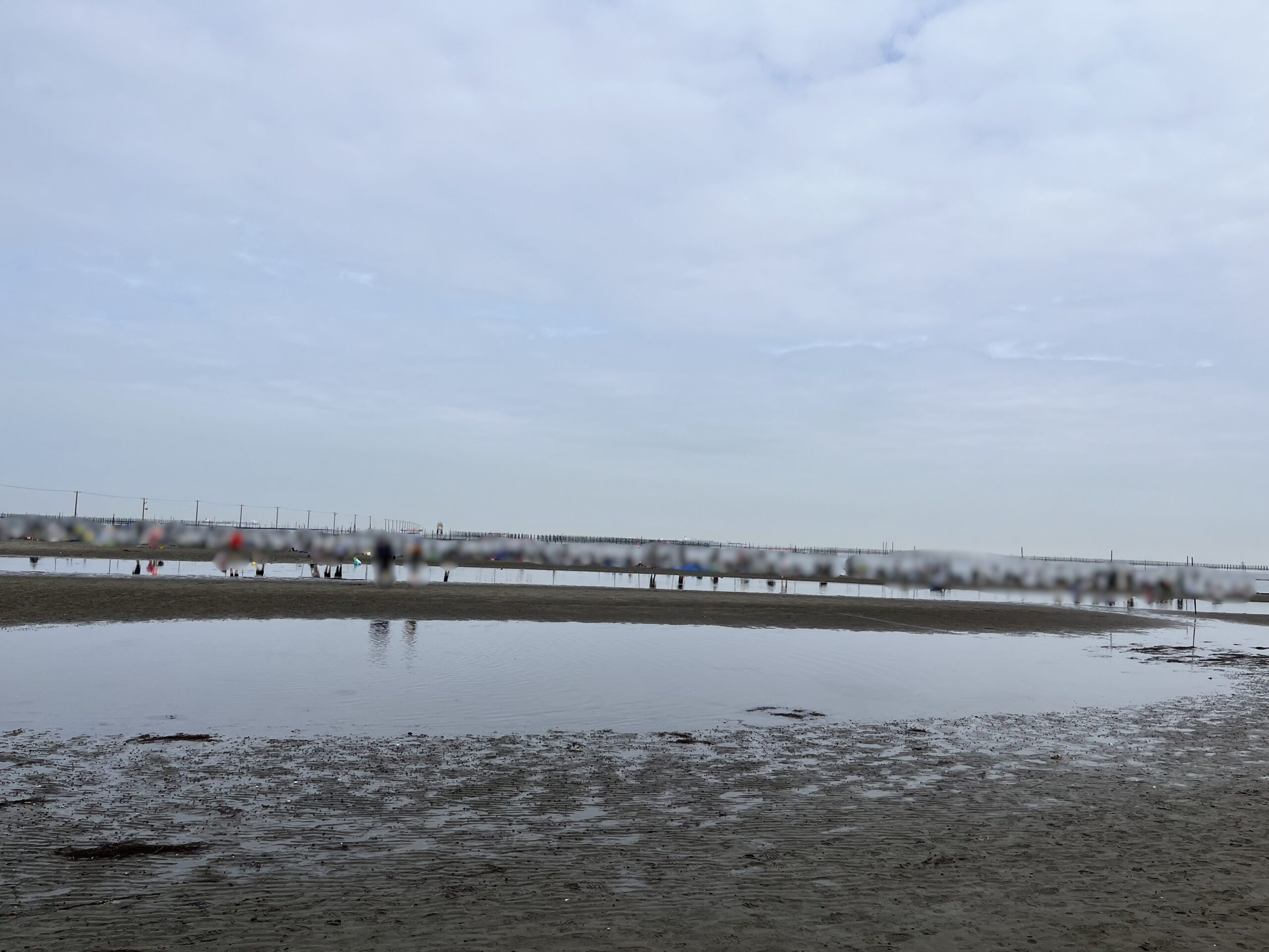 牛込海岸潮干狩り