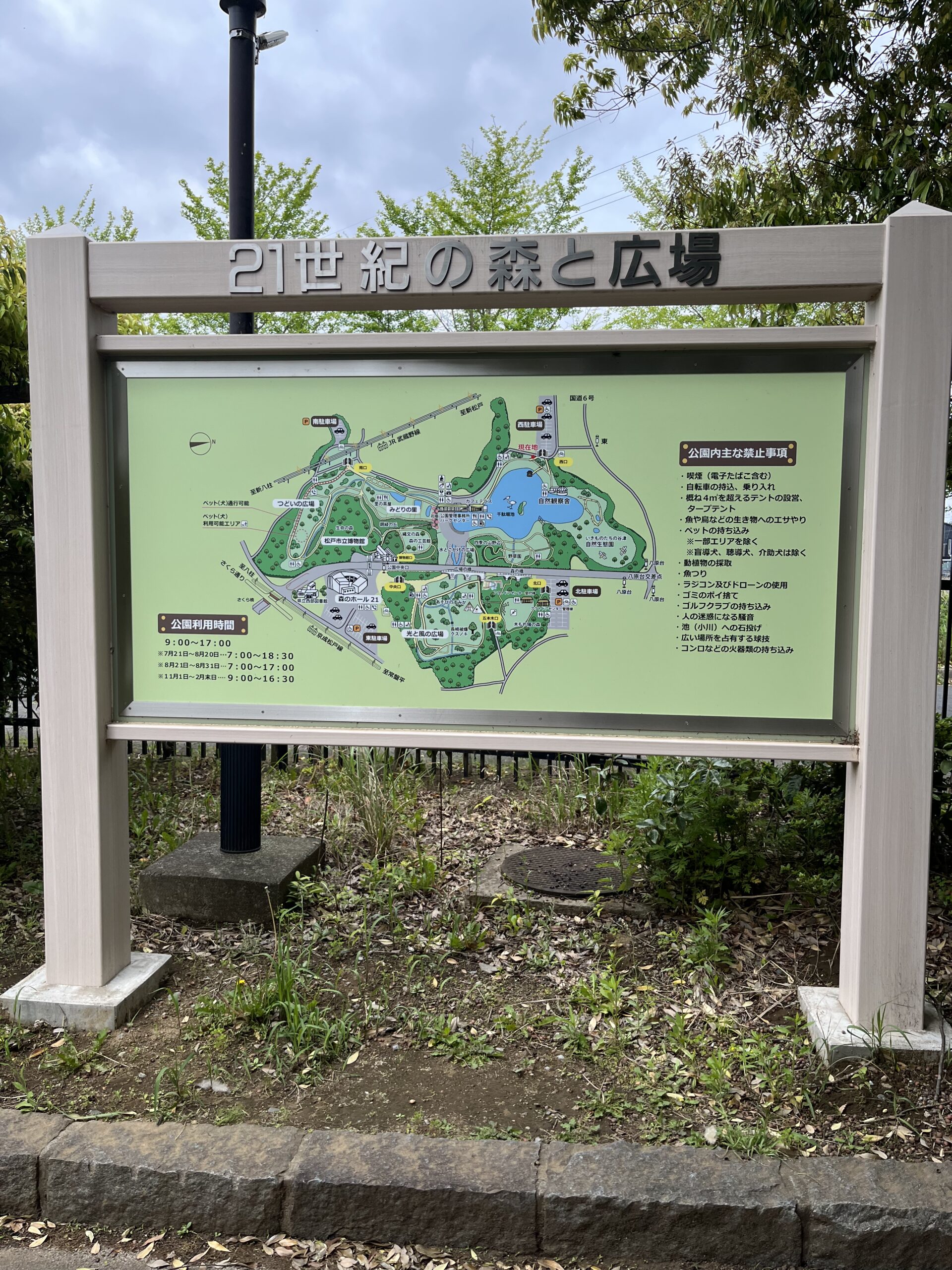 21世紀の森と広場